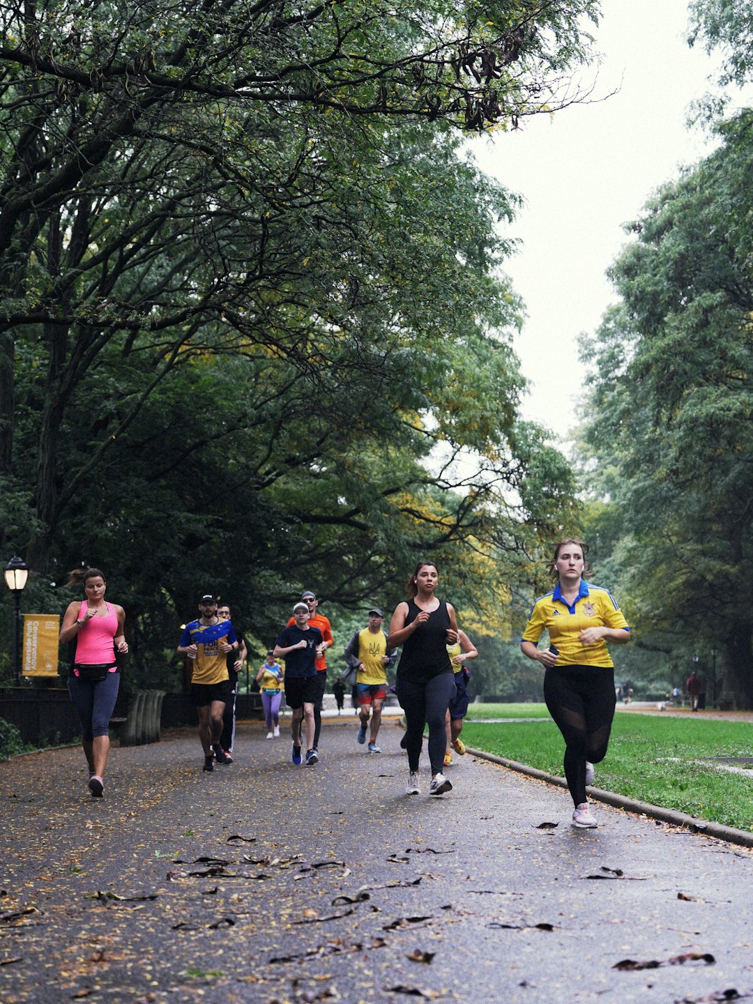 A group of people jog together along a leafy park path.